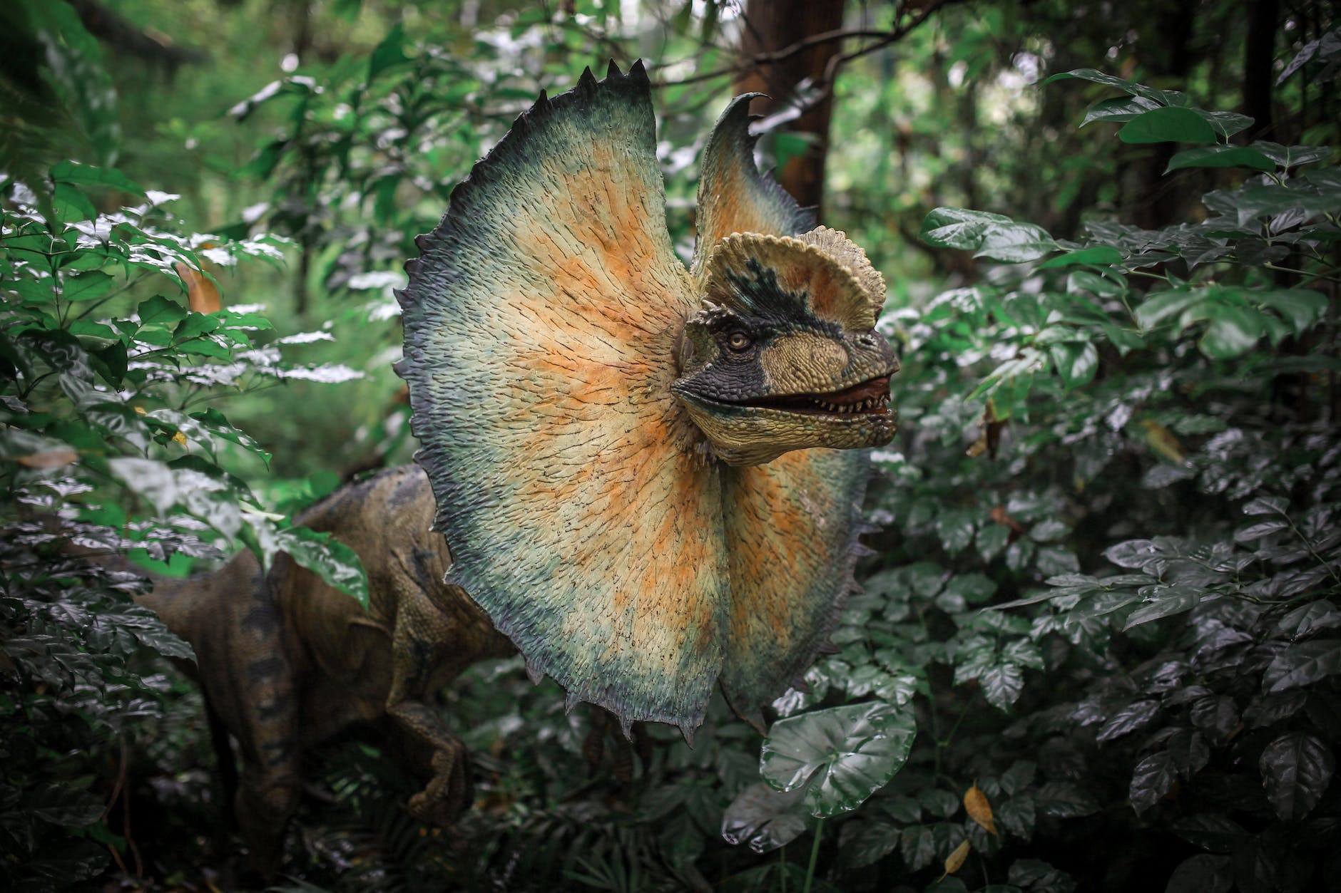 figure of dinosaur in forest