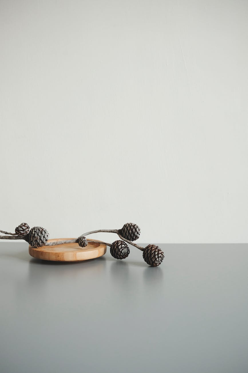 brown pine cone on gray surface